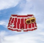 Swim Trunks (2019)