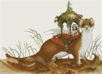 Ferret Litter