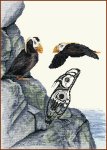Tufted Puffin