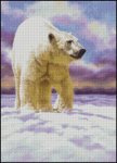Arctic Wanderer