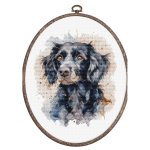 The Border Collie