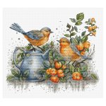 Song Of The Birds