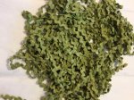 Algae Rick Rack