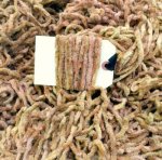 Toast Chenille