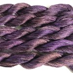 Spicy Plum