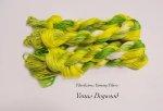 Venus Dogwood
