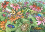 Garden Creatures (image for) Garden Creatures