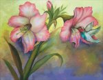 Pink Ice Amaryllis (image for) Pink Ice Amaryllis