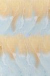 (image for) Dream With Space Patterned Cross Stitch Fabric