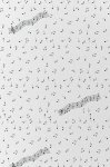 (image for) Music Notes Patterned Cross Stitch Fabric