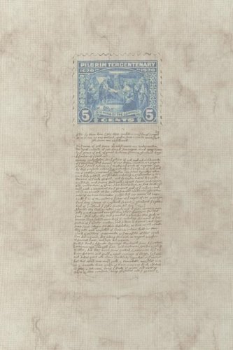 (image for) Pilgrim Tercentenary Patterned Cross Stitch Fabric