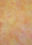 (image for) This Is My Jam Hand Dyed Fabric