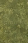 (image for) Olive You Hand Dyed Fabric