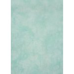 (image for) Frosty Mint