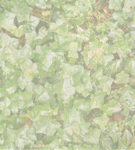 (image for) Ivy Patterned Cross Stitch Fabric