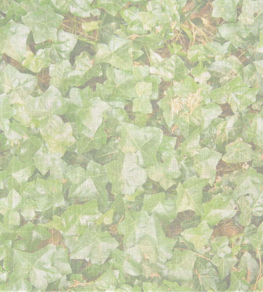 (image for) Ivy Patterned Cross Stitch Fabric