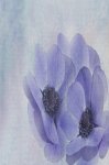 (image for) Pastel Purple Flowers Patterned Cross Stitch Fabric