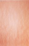 (image for) Peach Ice Patterned Cross Stitch Fabric
