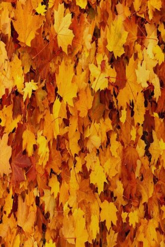(image for) Yellow Autumn Leaves Patterned Cross Stitch Fabric