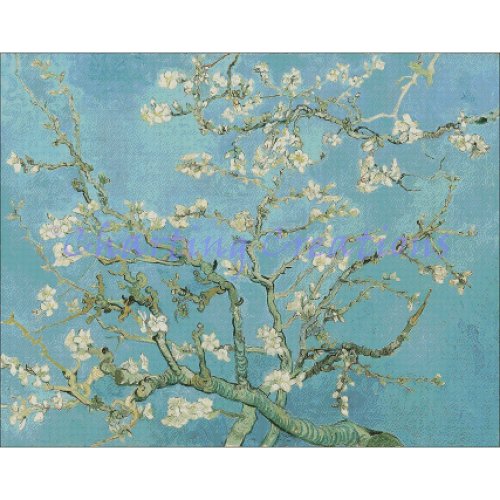 (image for) Almond Blossom
