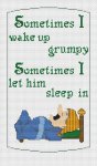 Grumpy Sleep