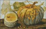 Garzoni - Squash