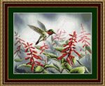 Hummingbirds