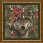 Autumn Encounter