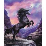 Black Unicorn