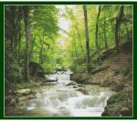 Forest Stream