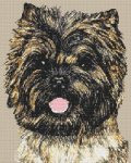 Cairn Terrier