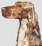 Artistic Irish Setter