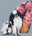 Chin and Hydrangeas