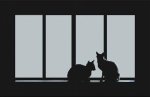 Cats in the Window