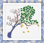 (image for) Albero Delle Stagioni (Tree of Seasons)