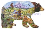 Bear Country (image for) Bear Country