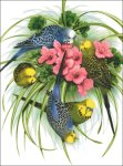 (image for) Budgies