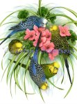 Budgies (image for) Budgies