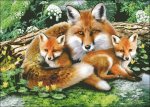 (image for) Foxes