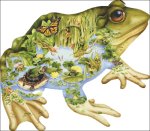 (image for) Frog Pond