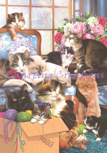 (image for) Kitten Caboodle