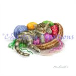 Nap Time (image for) Nap Time