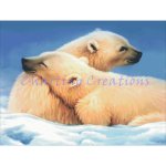 Polar Bears (image for) Polar Bears