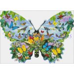 Shaped Butterfly (image for) Shaped Butterfly