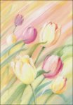 (image for) Soft Tulips