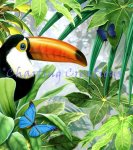 Toco Tucan (image for) Toco Tucan