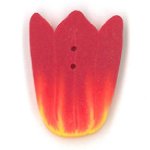 Tulip - Small