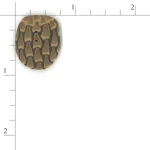 Pine Cone - Large (image for) Pine Cone - Large
