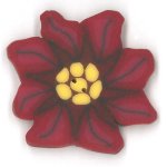 Poinsettia - Large (image for) Poinsettia - Large