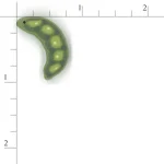 Peas In A Pod (image for) Peas In A Pod